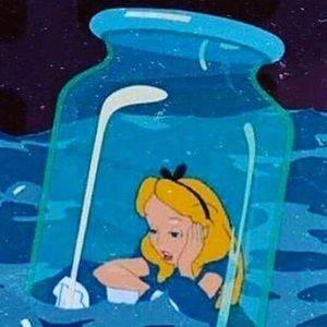 Meet your Posher, Ani